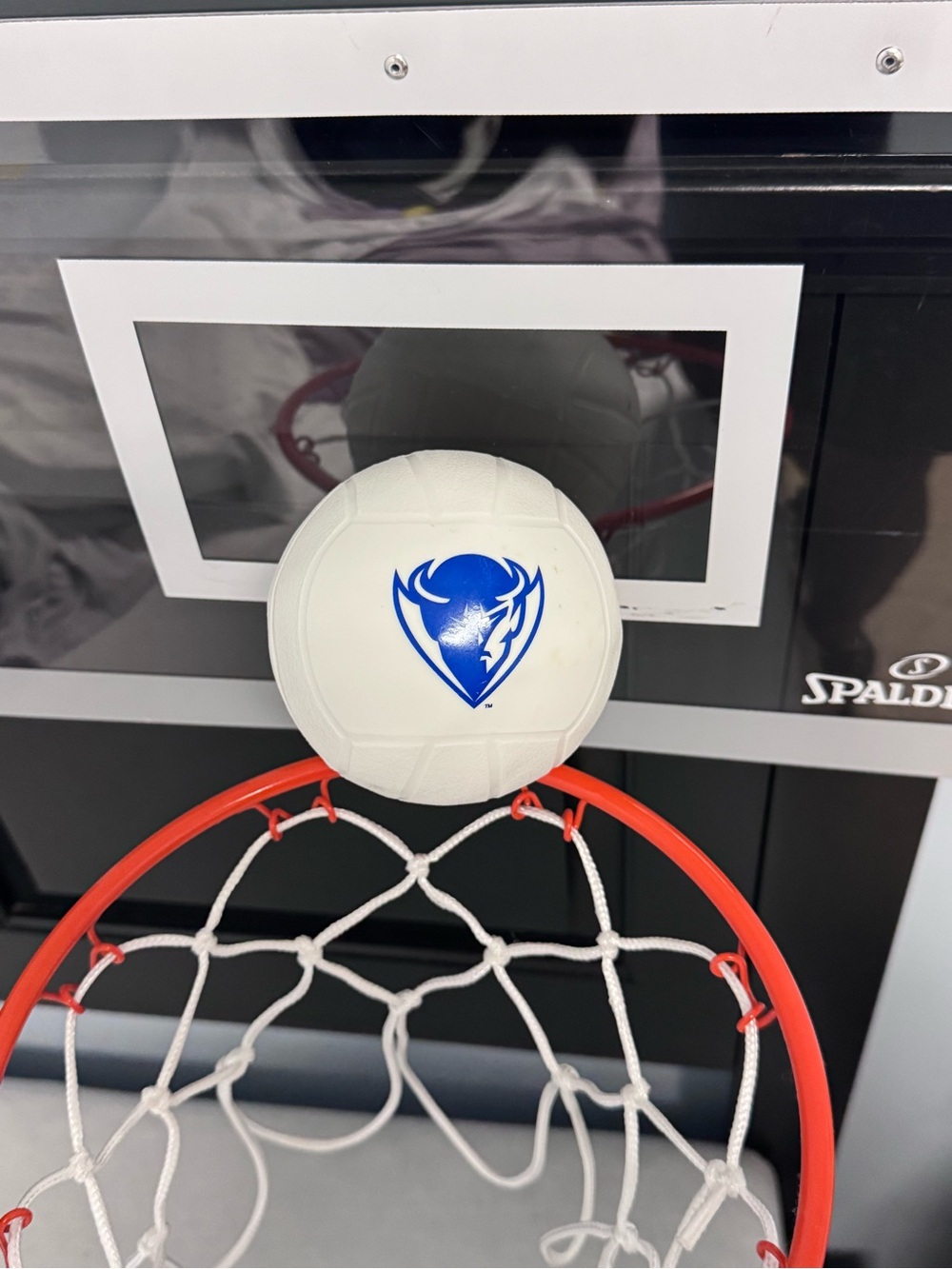 SPALDING Basketball Hoop with Mini DePaul University Ball - Picture 3 of 6